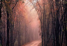 raybet app-包含国际比赛日意甲焦点战，马赛豪取连胜，管理层满意，阵容厚度经受考验的词条-raybet app